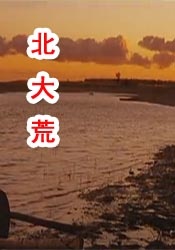 夜夜欢视频
